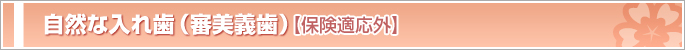���R�ȓ��ꎕ�i�R���`���j[�ی��K���O]