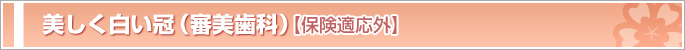 �������������i�R�����ȁj[�ی��K�p�O]
