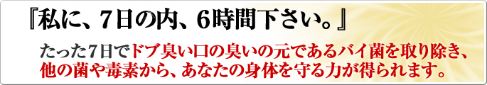 �������V���Ńh�u�L�����̏L���̌��ł���o�C�ۂ���菜���A���̋ۂ�őf����A���Ȃ��̐g�̂����͂������܂��B